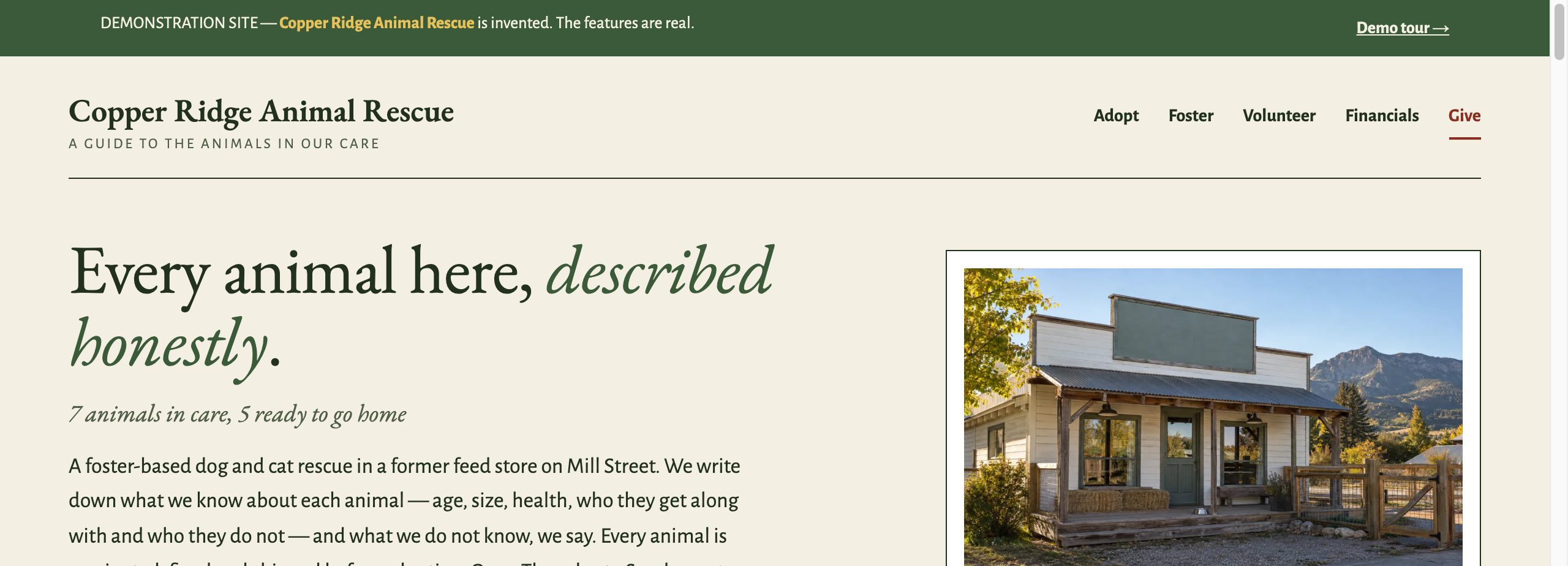 The Copper Ridge Animal Rescue home page